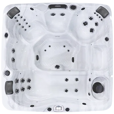 Avalon-X EC-840LX hot tubs for sale in Salto