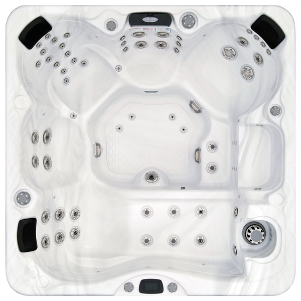 Avalon-X EC-867LX hot tubs for sale in 